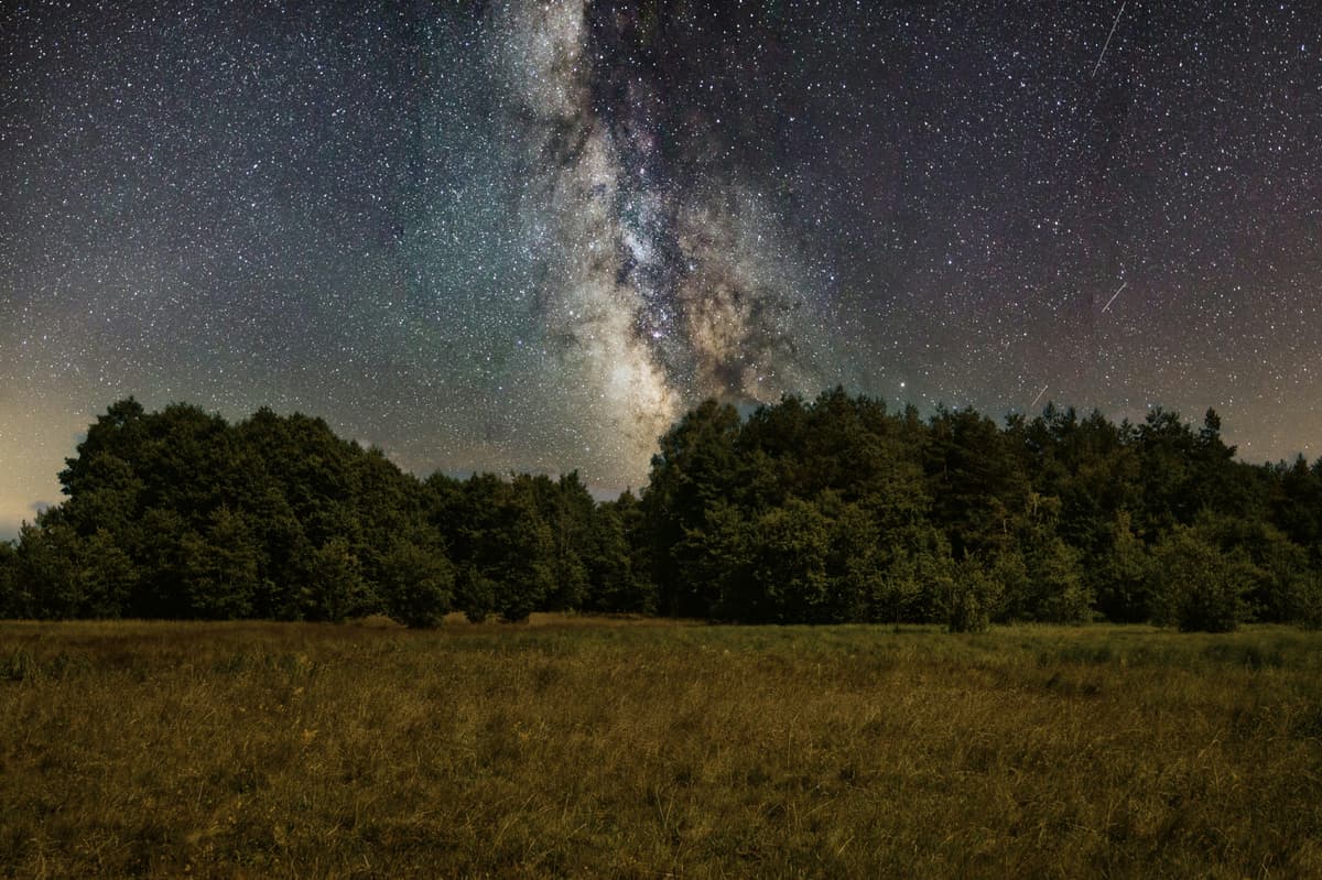A landscape